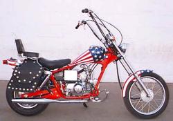 Stars and Stripes and a patriotic Pagsta Choppa  #6
