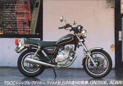 Suzuki GN 250 E #8