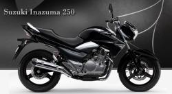 Suzuki Inazuma 250 2013 #13