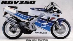 Suzuki RGV 250 #2