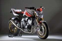 Yamaha FZ1 2011 #9