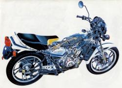 Yamaha RD 350 LC 1982 #10