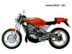 Yamaha SDR 200 #2