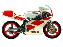 Yamaha TZ 250 #6