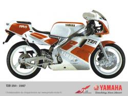 Yamaha TZR 250 1987 #7
