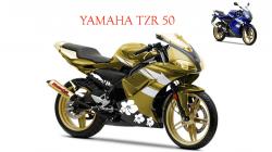 Yamaha TZR #6