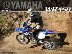 Yamaha WR450 F 2004 #11