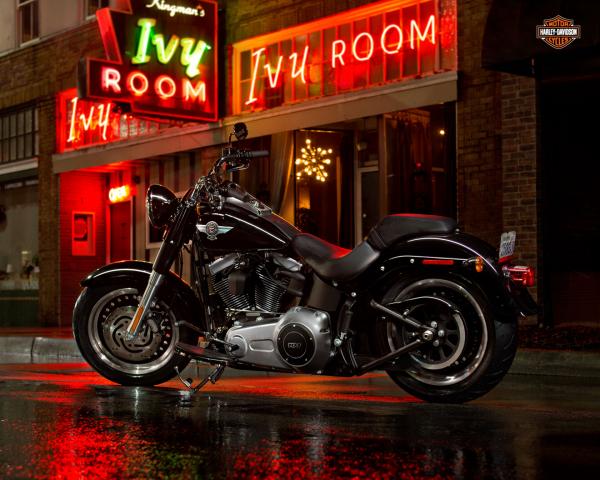 2013 Harley-Davidson Fat Boy Lo 110th Anniversary