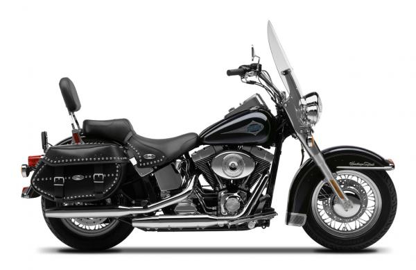 Harley-Davidson FLSTC Softail #1