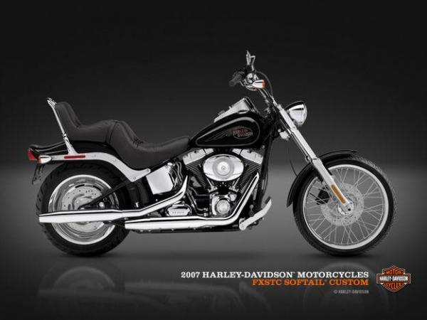 Harley-Davidson FXSTC Softail Custom #1