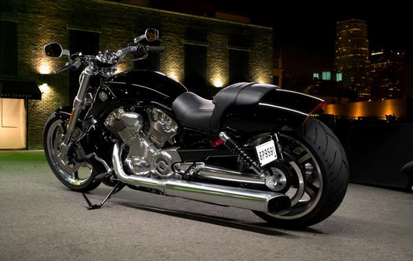 Harley-Davidson VRSCF V-Rod Muscle 2010 #1