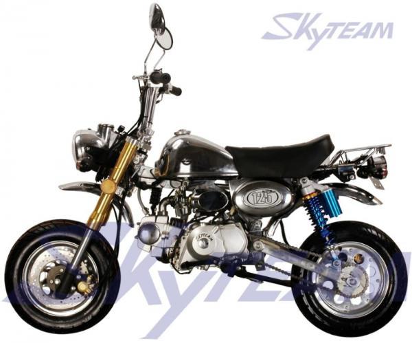 Skyteam Cross Minibike #1