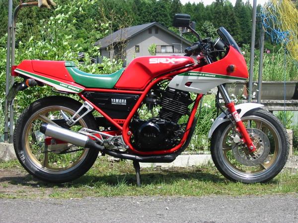 Yamaha SRX 250
