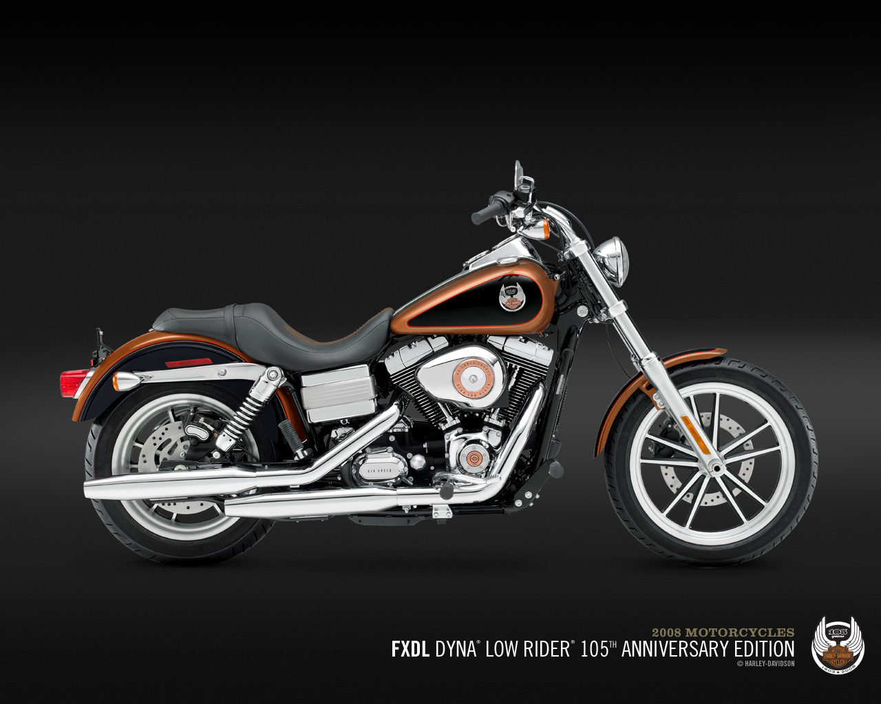 Harley-Davidson FXDL Dyna Low Rider 2008 #14