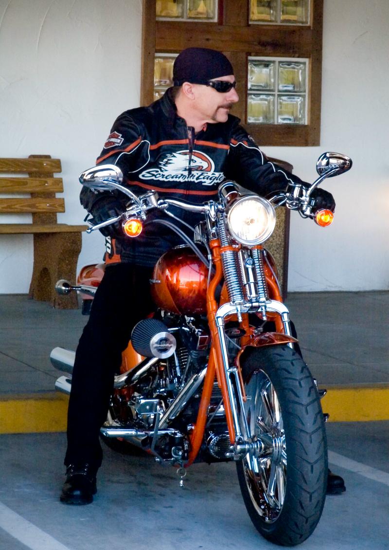 Harley-Davidson FXSTSSE Screamin´ Eagle Softail Springer 2008 #12