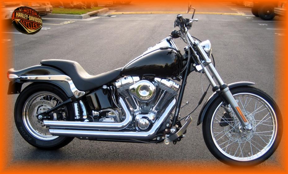 Harley-Davidson Softail Standard 1999 #5
