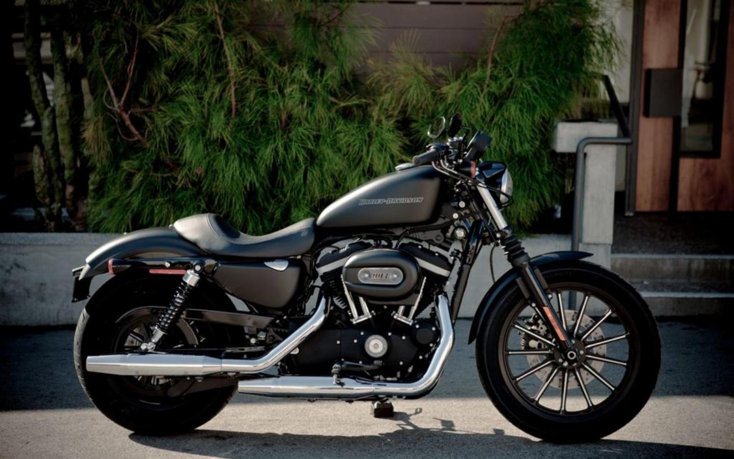 Harley-Davidson Sportster Iron 883 #4