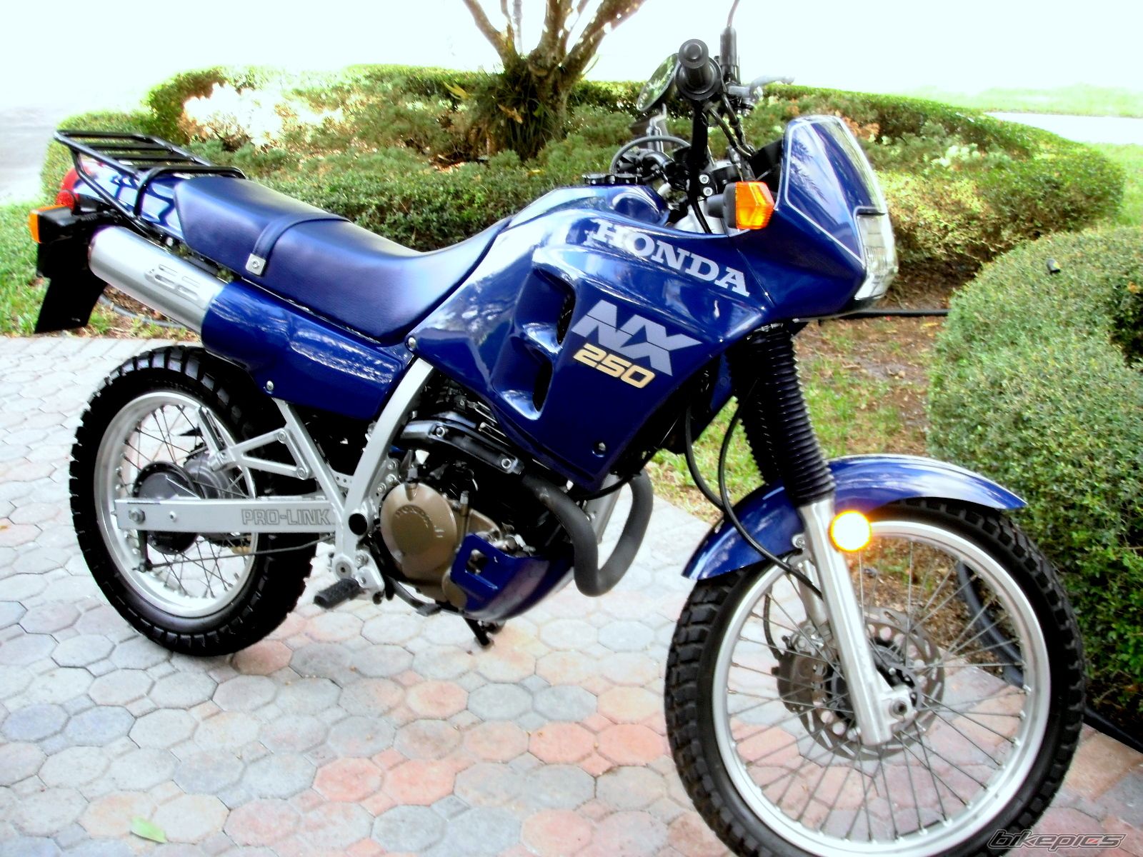Honda NX250 1988 #6