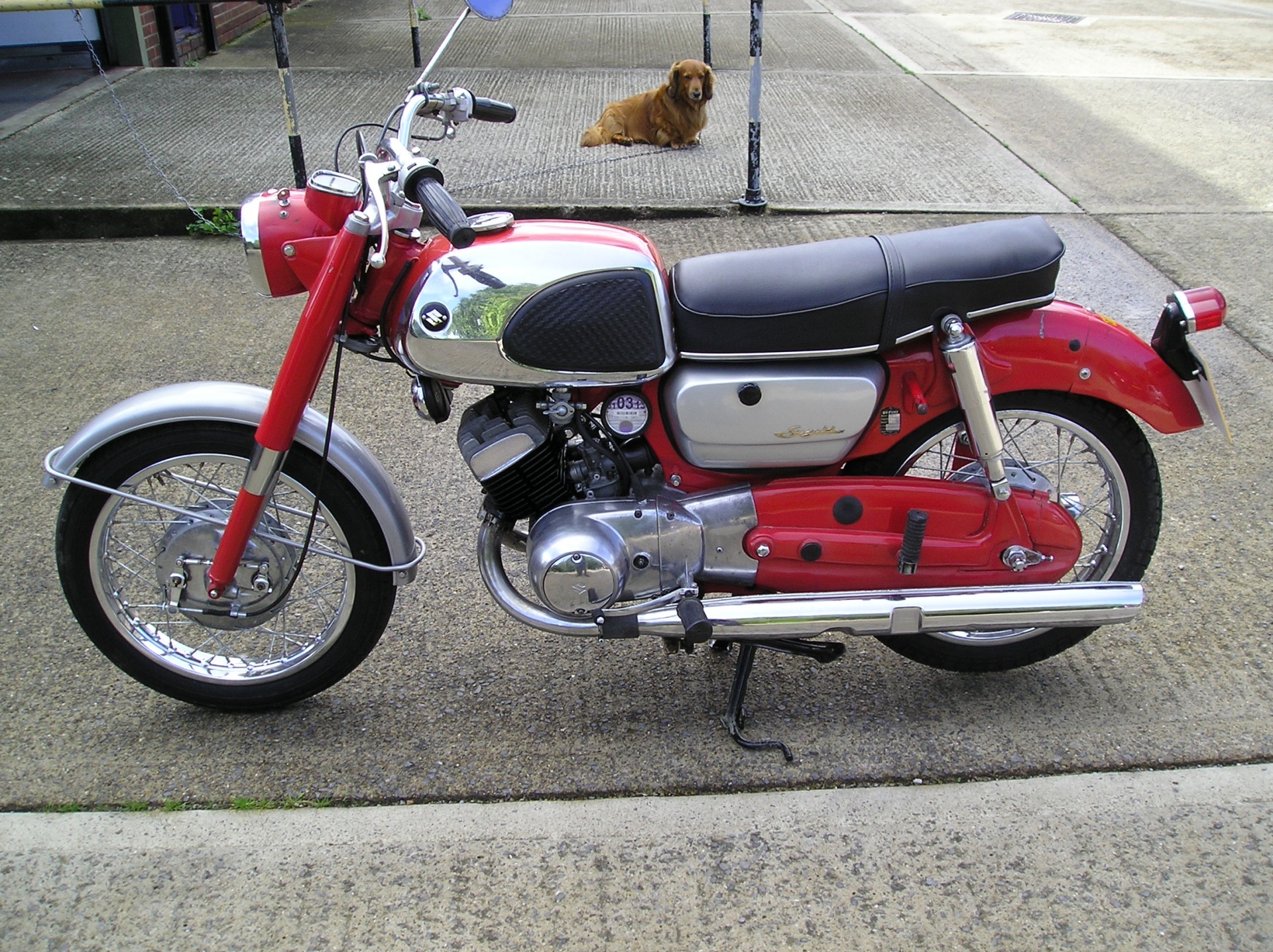 Suzuki Classic #8
