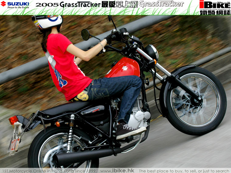 2005 Suzuki Grasstracker #12