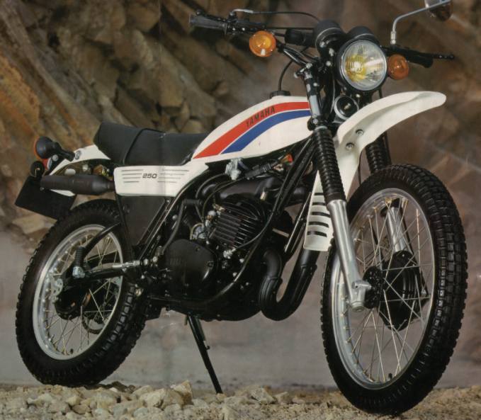 Yamaha DT 250 MX #9