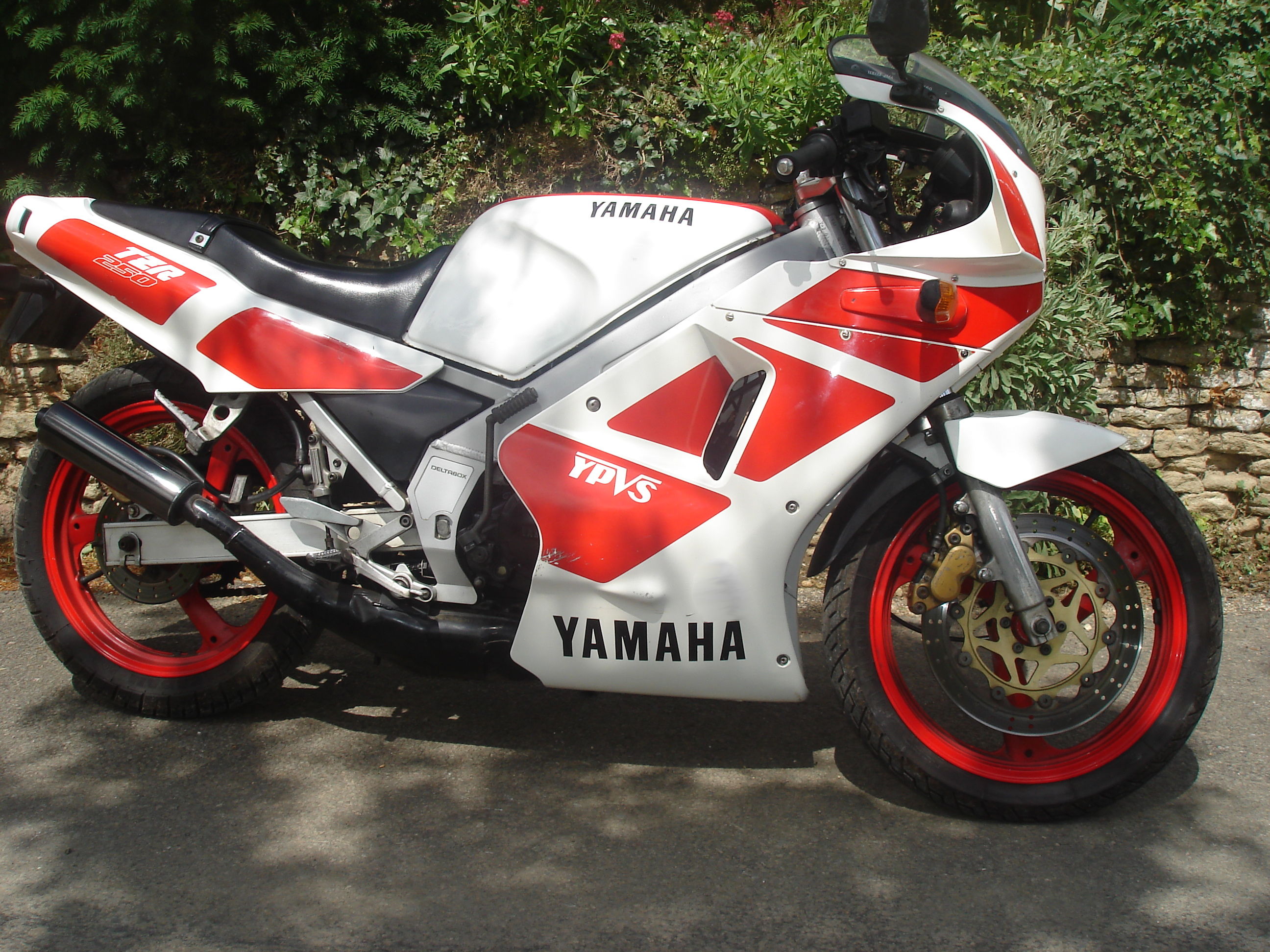 Yamaha RD 350R YPVS 1993 #2
