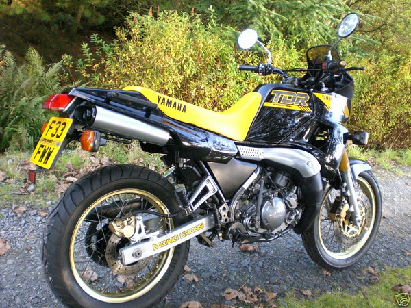 Yamaha TDR 250 1989 #10