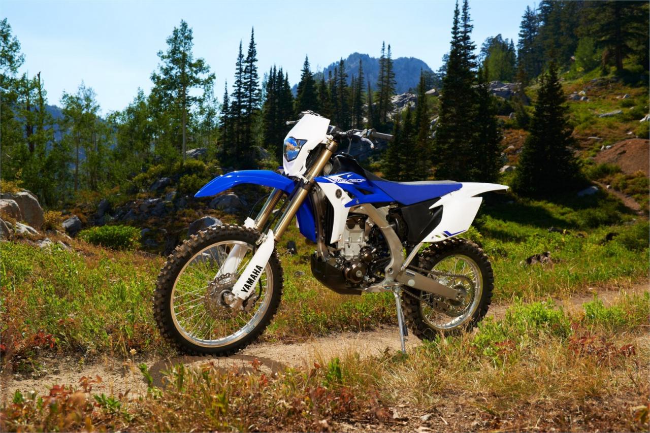 Yamaha wr450x