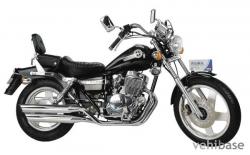 Dayun DY125T-6 #11