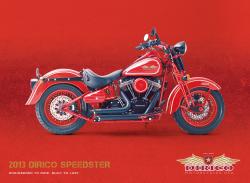 Dirico Speedster 2010 #3