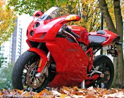 Ducati 999 2005 #8