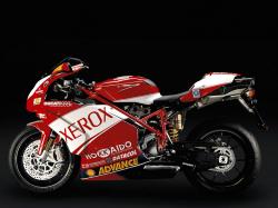 Ducati 999 R Superbike #10