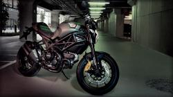 Ducati Monster Diesel 2013 #7