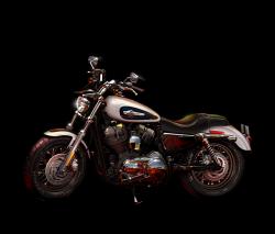 Harley-Davidson 1200 Custom 110th Anniversary #13
