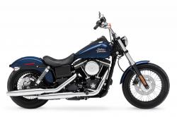 Harley-Davidson 1200 Custom 110th Anniversary #14