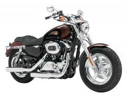 Harley-Davidson 1200 Custom 110th Anniversary #2