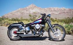 Harley-Davidson 1340 Softail Springer 1994 #13