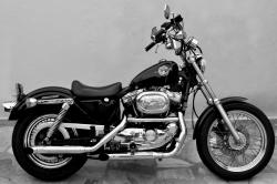 Harley-Davidson 883 Sportster Standard 1994 #9