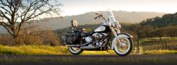 Harley-Davidson Classic #11