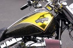 Harley-Davidson CVO Breakout 2013 #14