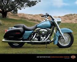 Harley-Davidson FLHRS Road King Custom #5