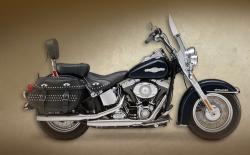 Harley-Davidson FLSTC Heritage Softail Classic Peace Officer #2