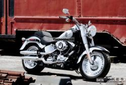 Harley-Davidson FLSTF Fat Boy 2011 #14