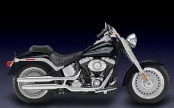 Harley-Davidson FXDFSE2 CVO Fat Bob #12