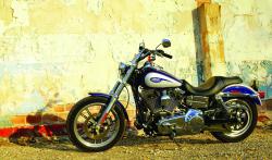 Harley-Davidson FXDLI Dyna Low Rider #11