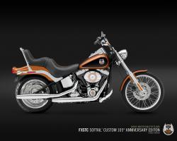 Harley-Davidson FXSTC Softail Custom 2008 #3