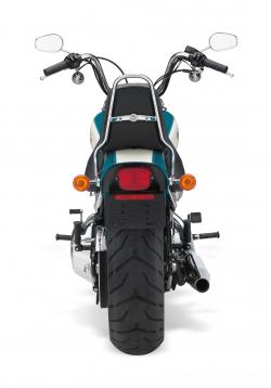 Harley-Davidson FXSTC Softail Custom 2010 #11