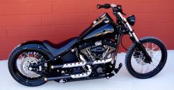 Harley-Davidson Night Train 2001 #3