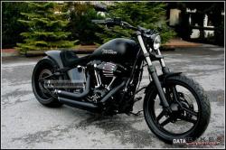 Harley-Davidson Softail Blackline #10