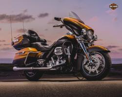 Harley-Davidson Softail Breakout Special Edition #11